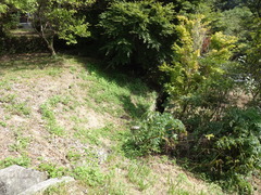DSC00688.JPG