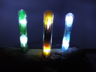 DSC00718-thumbnail2.jpg