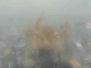 サンちゃん正面.jpg